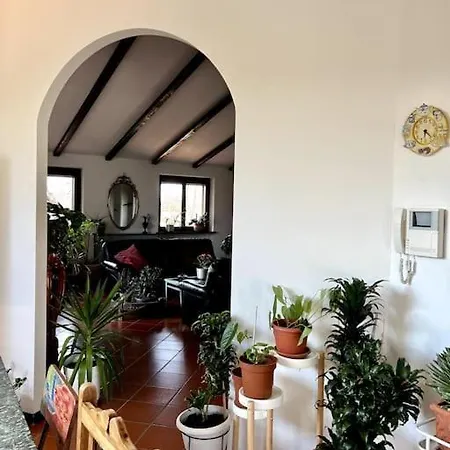 In La Carruba * Rivergaro