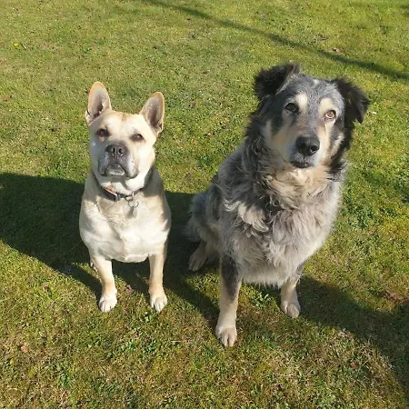 In La Carruba Rivergaro