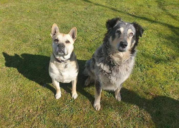 In La Carruba Rivergaro